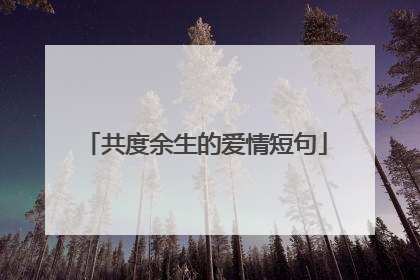 共度余生的爱情短句