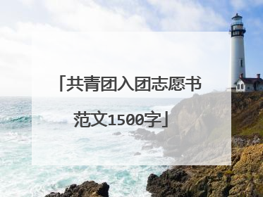共青团入团志愿书范文1500字