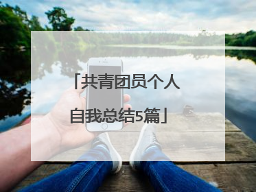 共青团员个人自我总结5篇