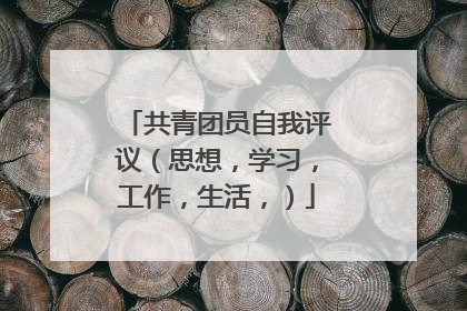 共青团员自我评议(思想,学习,工作,生活,)