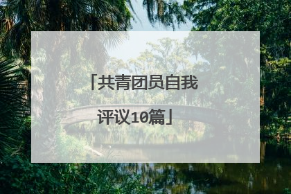 共青团员自我评议10篇