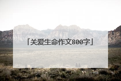 关爱生命作文800字