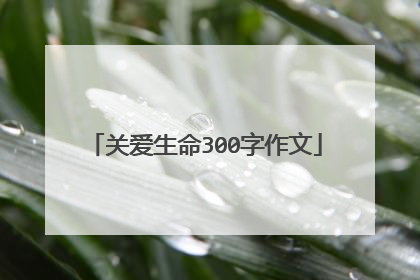 关爱生命300字作文