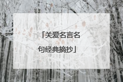 关爱名言名句经典摘抄