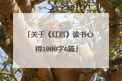 关于《红岩》读书心得1000字6篇
