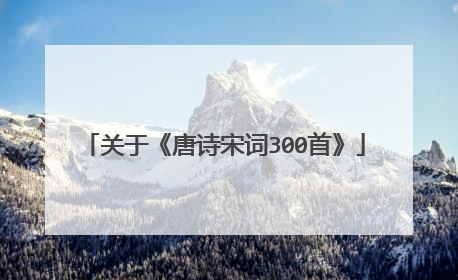 关于《唐诗宋词300首》