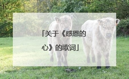 关于《感恩的心》的歌词