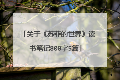 关于《苏菲的世界》读书笔记800字5篇