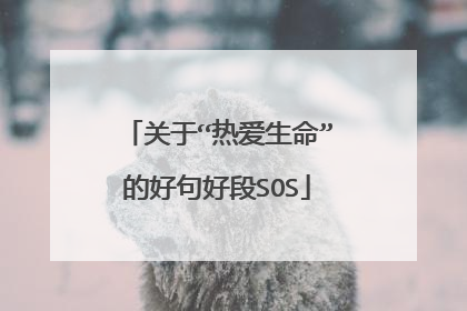 关于“热爱生命”的好句好段SOS