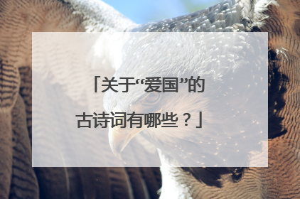 关于“爱国”的古诗词有哪些？