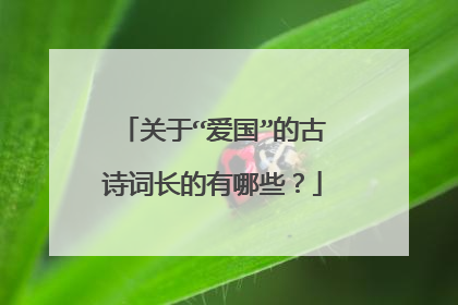 关于“爱国”的古诗词长的有哪些？