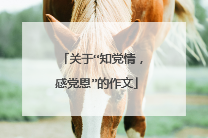 关于“知党情，感党恩”的作文