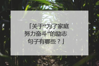 关于“为了家庭努力奋斗”的励志句子有哪些？