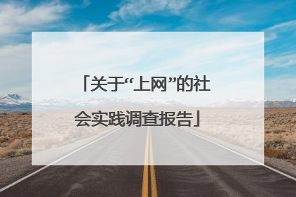 关于“上网”的社会实践调查报告