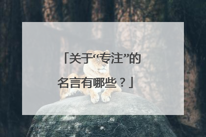 关于“专注”的名言有哪些?