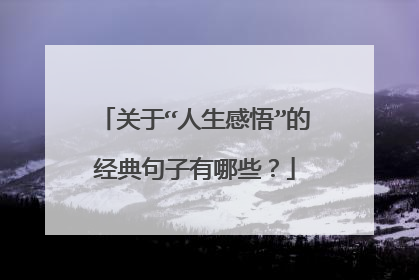 关于“人生感悟”的经典句子有哪些？