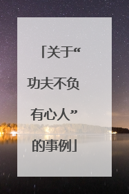 关于“功夫不负有心人”的事例