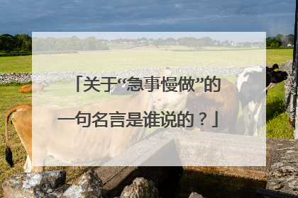 关于“急事慢做”的一句名言是谁说的?