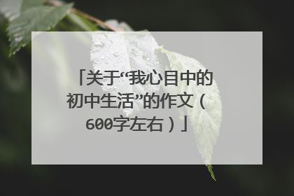 关于“我心目中的初中生活”的作文（600字左右）