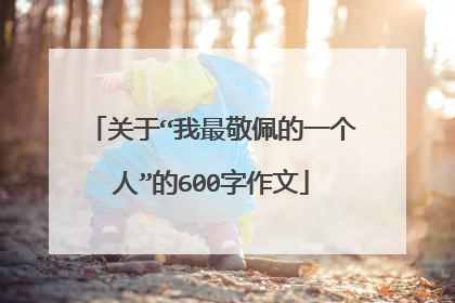 关于“我最敬佩的一个人”的600字作文