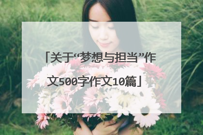 关于“梦想与担当”作文500字作文10篇