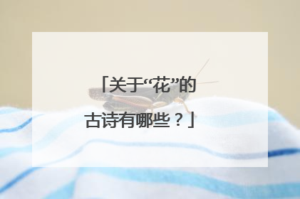关于“花”的古诗有哪些？