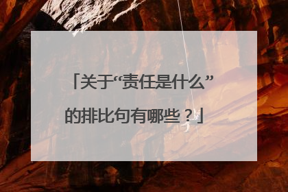 关于“责任是什么”的排比句有哪些？