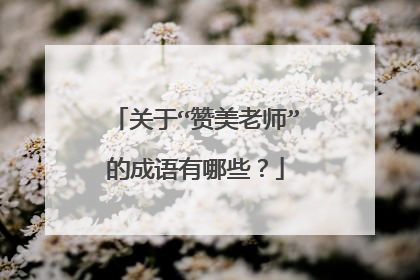 关于“赞美老师”的成语有哪些?
