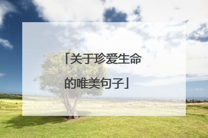 关于珍爱生命的唯美句子