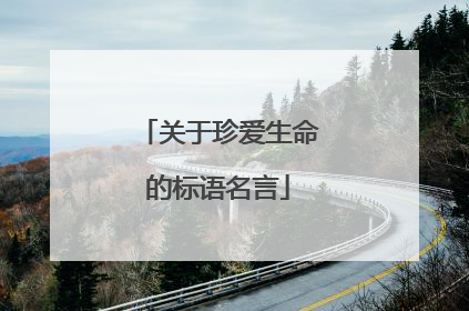 关于珍爱生命的标语名言