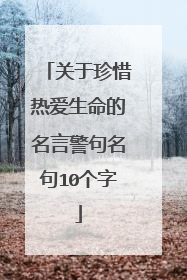 关于珍惜热爱生命的名言警句名句10个字