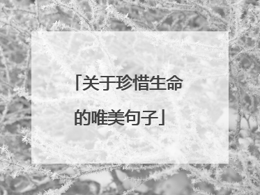 关于珍惜生命的唯美句子