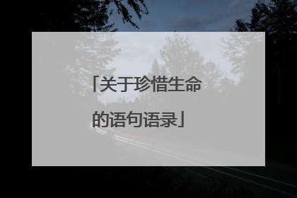 关于珍惜生命的语句语录