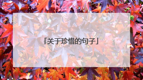 关于珍惜的句子