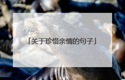 关于珍惜亲情的句子