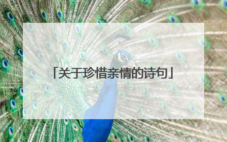 关于珍惜亲情的诗句