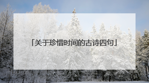 关于珍惜时间的古诗四句