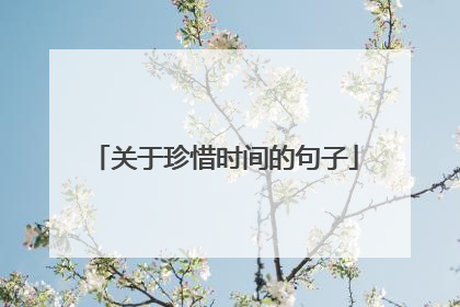 关于珍惜时间的句子