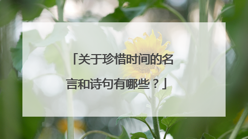 关于珍惜时间的名言和诗句有哪些?