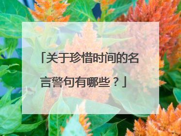关于珍惜时间的名言警句有哪些?