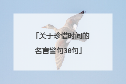 关于珍惜时间的名言警句30句