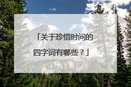 关于珍惜时间的四字词有哪些?