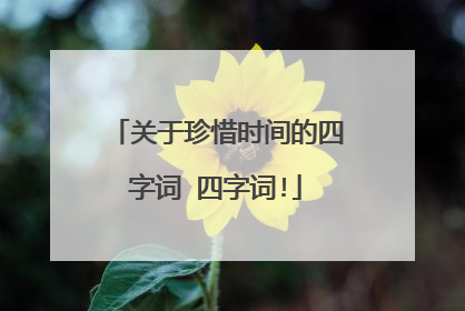 关于珍惜时间的四字词 四字词!