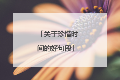 关于珍惜时间的好句段