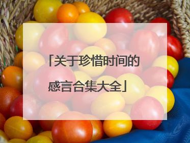 关于珍惜时间的感言合集大全