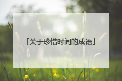 关于珍惜时间的成语