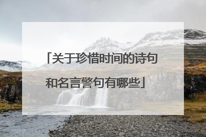关于珍惜时间的诗句和名言警句有哪些