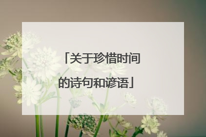 关于珍惜时间的诗句和谚语