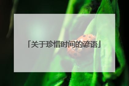 关于珍惜时间的谚语