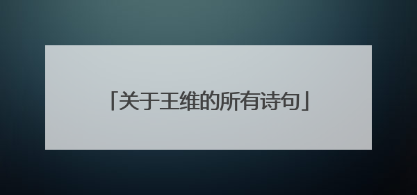 关于王维的所有诗句